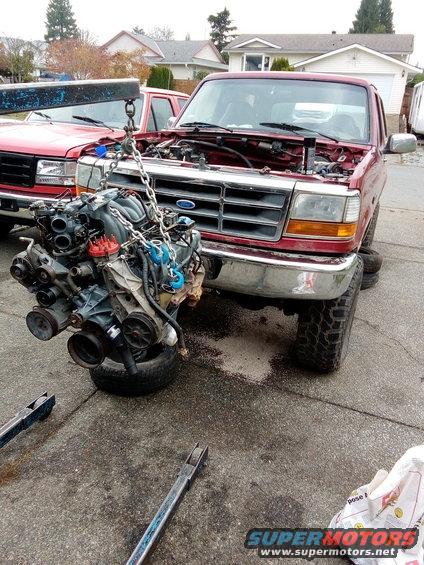 1994 Ford Bronco with hood open, engine being removed by hoist. Another red Ford truck is behind it