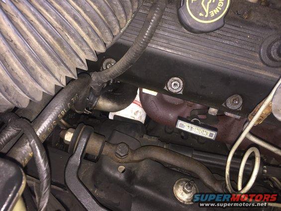 Close-up of a car's engine bay, showing hoses, engine parts, and an oil filter