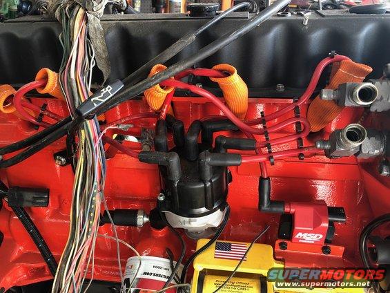 Engine bay with red block, distributor cap, and MSD ignition coil
