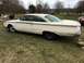 1960 Ford Starliner - A white 1960 Ford Starliner coupe with fins sits in a grassy yard.