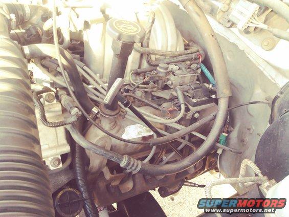 Engine bay with various hoses, wires, and engine components visible