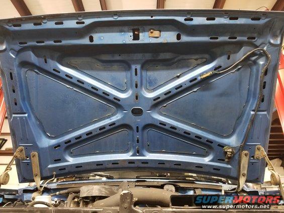 20200208_181601.jpg Hood
Typical dry-rot of cowl seal.