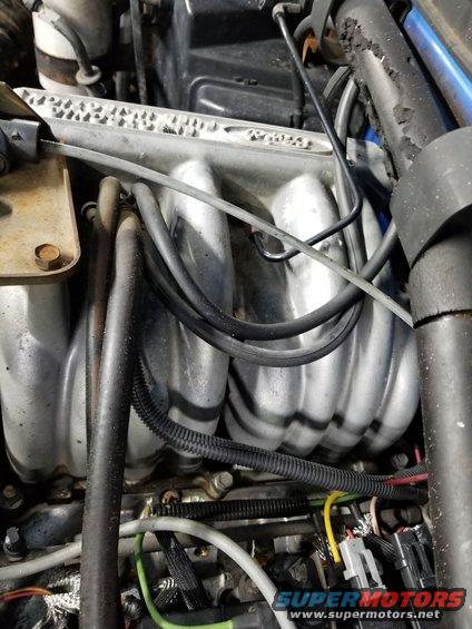 20200211_100407.jpg [url=https://www.supermotors.net/registry/media/1151310][img]https://www.supermotors.net/getfile/1151310/thumbnail/09vacsilicone.jpg[/img][/url]