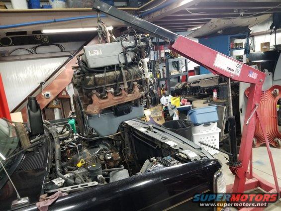 20200219_161814.jpg Going in...

Not that I needed to adjust it, but just because it's clean, I painted the timing marks white.