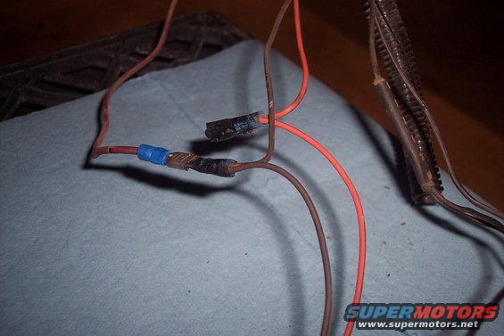 taillightwires-(4).jpg