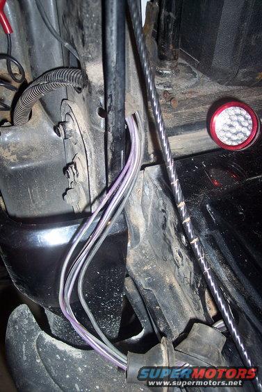 gateandwires-(4).jpg