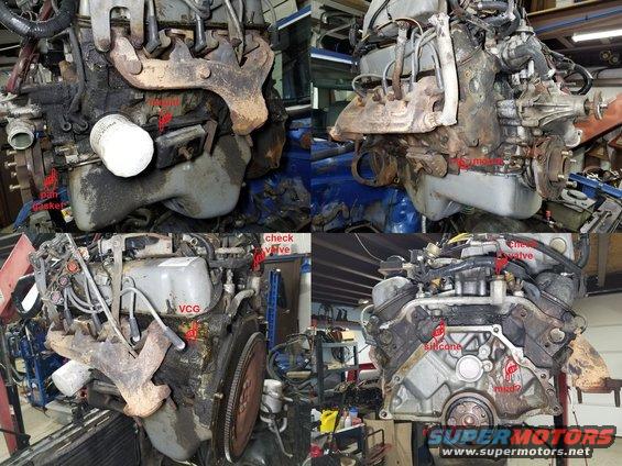 We already knew the engine mounts were broken, and that the pan gasket needed replacement, and that the valve cover gaskets had problems.  But I didn't realize how bad the left VCG was leaking. I have to wonder if the oil journals in the head are blocked, so I'm re-thinking pulling the plenum & valve covers now... I also didn't realize the intake manifold had been off, but Ford didn't leave wads of silicone across the valley. The rust in the back of the crankshaft is from the torque converter pilot, which might be explained by the mud that worked its way between the block & the shim plate.  This is another sign that this truck was mudded deep. The check valve broke as I began pulling the hose off it.

I've also begun to consider the financial sense of pulling the timing cover while the oil pan is off.

IF THE IMAGE IS TOO SMALL, click it.