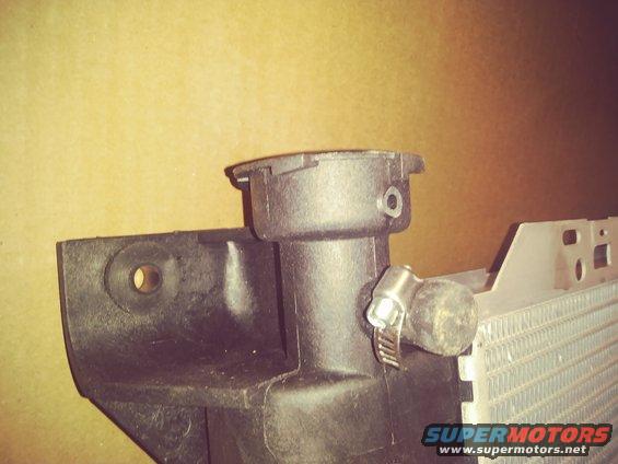 20200304_220513_film4.jpg