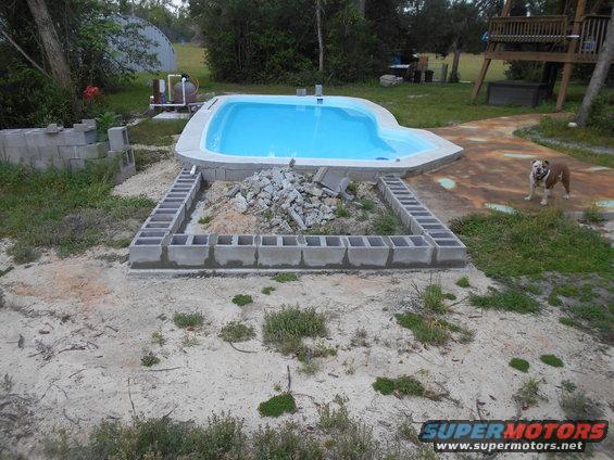 Bulldog stands near a partially constructed swimming pool