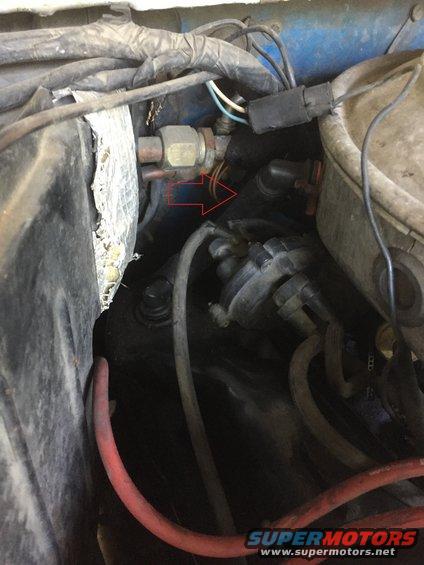 Installed crankcase vent hose