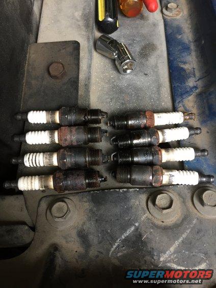 sp1.jpg spark plugs all