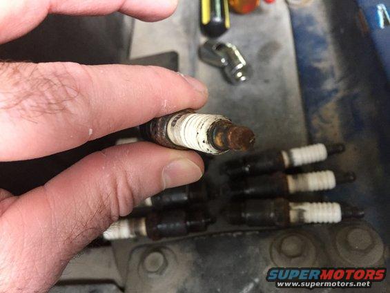 sp2.jpg spark plugs close up of plug 8