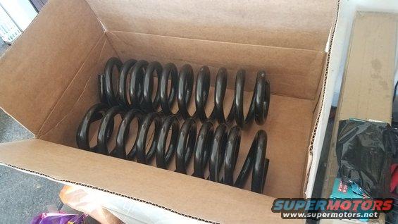 Two sets of black coil springs in a cardboard box