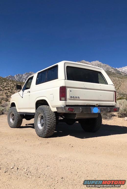 1981 Ford Bronco photo