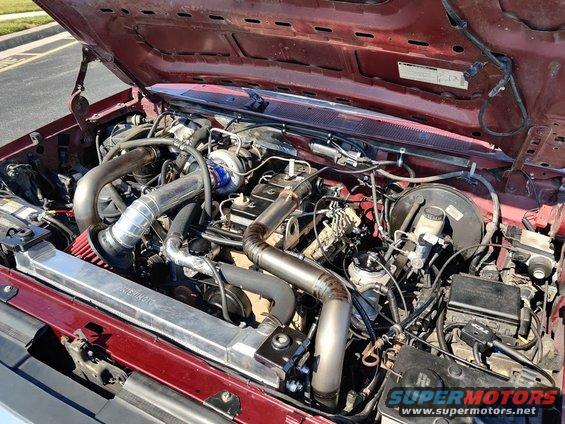 2020-07-08 - Engine bay glamour shot.