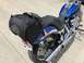 2008 Harley-Davidson Softail photo