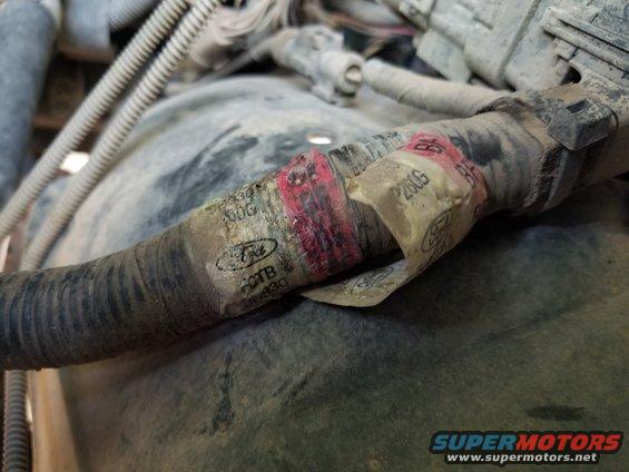 02taghrns.jpg Engine wiring harness label