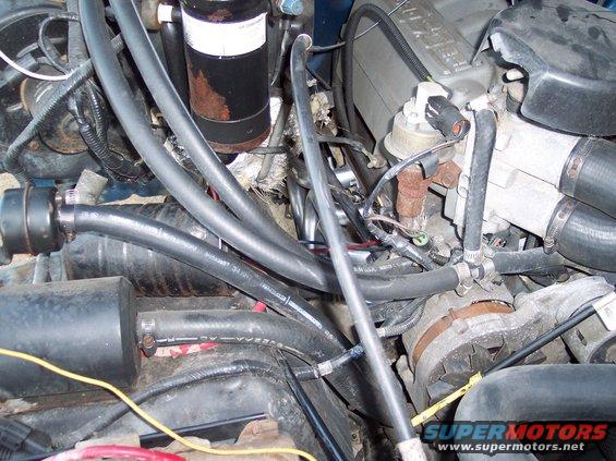 Close-up of engine bay hoses, alternator, and some engine components