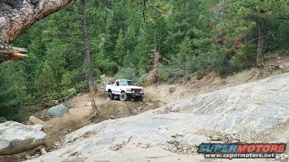 springcreek_01.jpg 