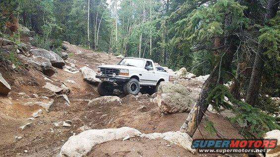 springcreek_07.jpg 