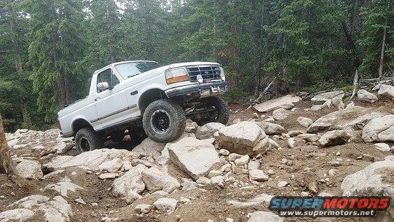 springcreek_12.jpg 