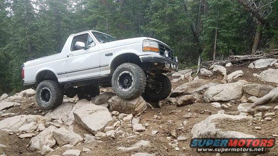 springcreek_14.jpg 