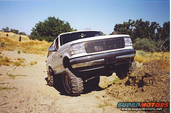 bronco2-(2).jpg 