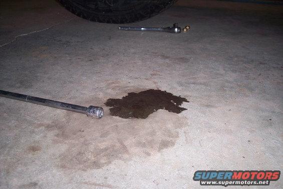 mystery-oil-leak-(1).jpg 