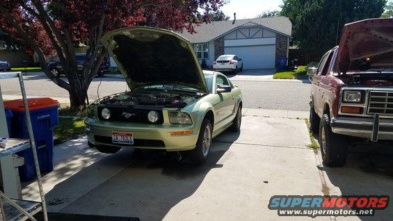 Light green 2005 Ford Mustang front view, hood open. Another vehicle is parked to the right