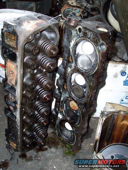 000_0044.jpg E7's looking sad and homeless!