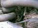 1988 Ford Bronco - Engine bay detail with hoses and belts visible.