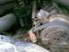 1988 Ford Bronco - This image shows a close-up view of a vehicle's engine compartment, focusing on the belt and pulley assembly.