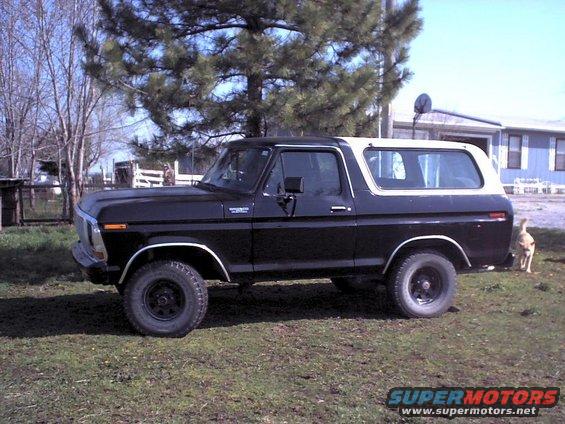 Black Ford Bronco with white top parked on grass, dog in background