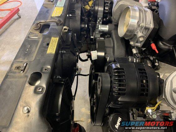 Engine bay with radiator, fan, alternator, and throttle body visible