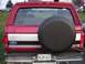 1994 Ford Bronco - Big decal, 28 inches long