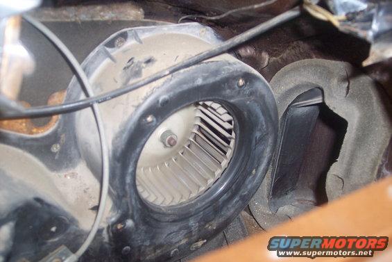 Close-up of a car's heater blower motor assembly, showing the fan and housing