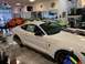 2020 Ford Mustang - A white Ford Mustang Shelby GT500 is displayed prominently in a dealership showroom, alongside other colorful Ford Mustangs.