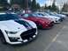 2020 Ford Mustang - A row of Ford Mustang Shelby GT500s are parked in a lot, with a white one in the foreground.