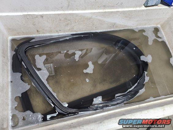 Rubber seal soaking in soapy water inside a tub