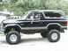 1984 Ford Bronco - NEw pics, all cleaned up