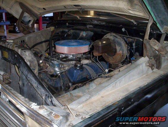 engine bay with blue air filter and V8 engine