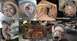 Any of these could have been driving next to you.
IF THE IMAGE IS TOO SMALL, click it.



...or it c...