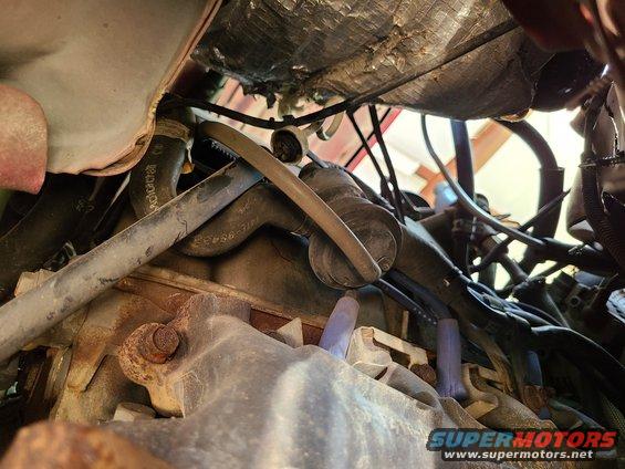 The aftermarket plugs & wires look fairly new & clean. The cap & rotor are also new aftermarket, but they don't have the dielectric grease that Ford recommends. The ATF appears to be OK.
IF THE IMAGE IS TOO SMALL, click it.

[url=https://www.supermotors.net/registry/media/1146568][img]https://www.supermotors.net/getfile/1146568/thumbnail/distcapgrease.jpg[/img][/url] . [url=https://www.supermotors.net/registry/media/71694][img]https://www.supermotors.net/getfile/71694/thumbnail/cooler.jpg[/img][/url]

R&I distributor cap & rotor to apply dielectric grease $30 ***********