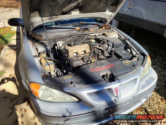 The engine bay is dusty & mildewed, but not grimy
