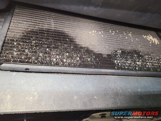 Evaporator core dirt daubers & slight stone damage to fins (wet probably from previous rain)