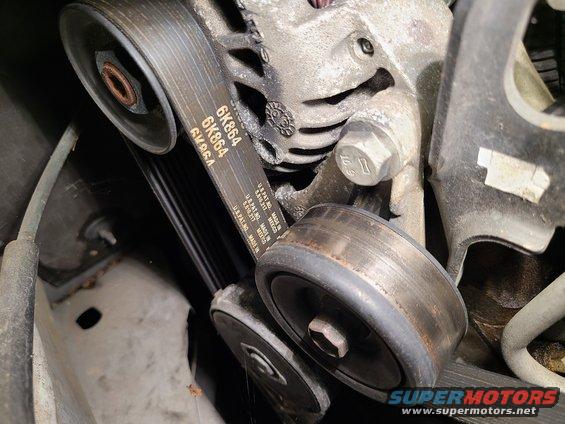 The belt seems OK.

ACDelco $29 https://www.amazon.com/dp/B00UIO36SG
Bando $23 https://www.amazon.com/dp/B000CB0KJ8