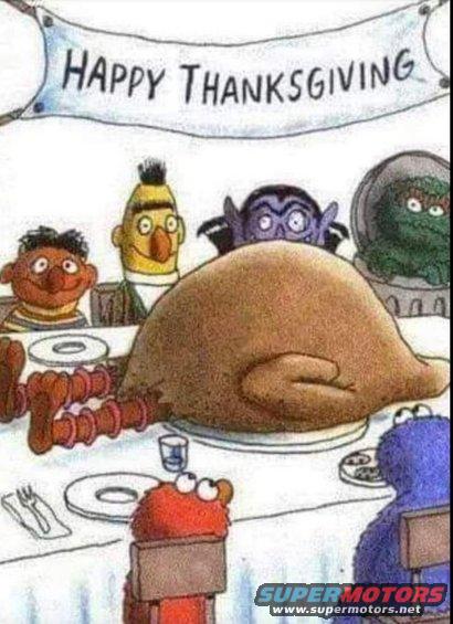 img_1158.jpg The real turkey