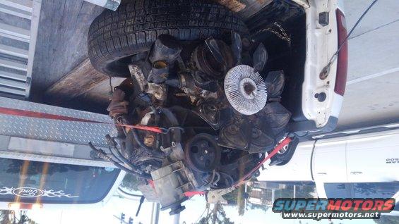 kimg0475.jpg being a daily driver i needed the truck running ASAP. I used www.car-part.com to find a 96 Explorer 5.0 to find an engine locally that was still open on a Saturday. had to drive a bit of a distance but we did manage to buy a used 5.0 for $400 pulled by the yard pretty much complete