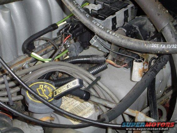 Engine bay with engine oil cap and wiring harnesses