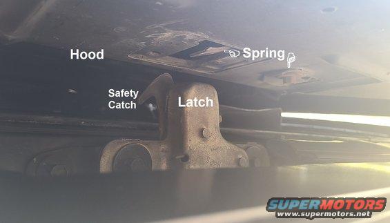hoodlatchspring.jpg Hood Latch Spring
IF THE IMAGE IS TOO SMALL, click it.

If the hood jams, it may be due to the spring inside the hood working its way behind the latch on the core support.
